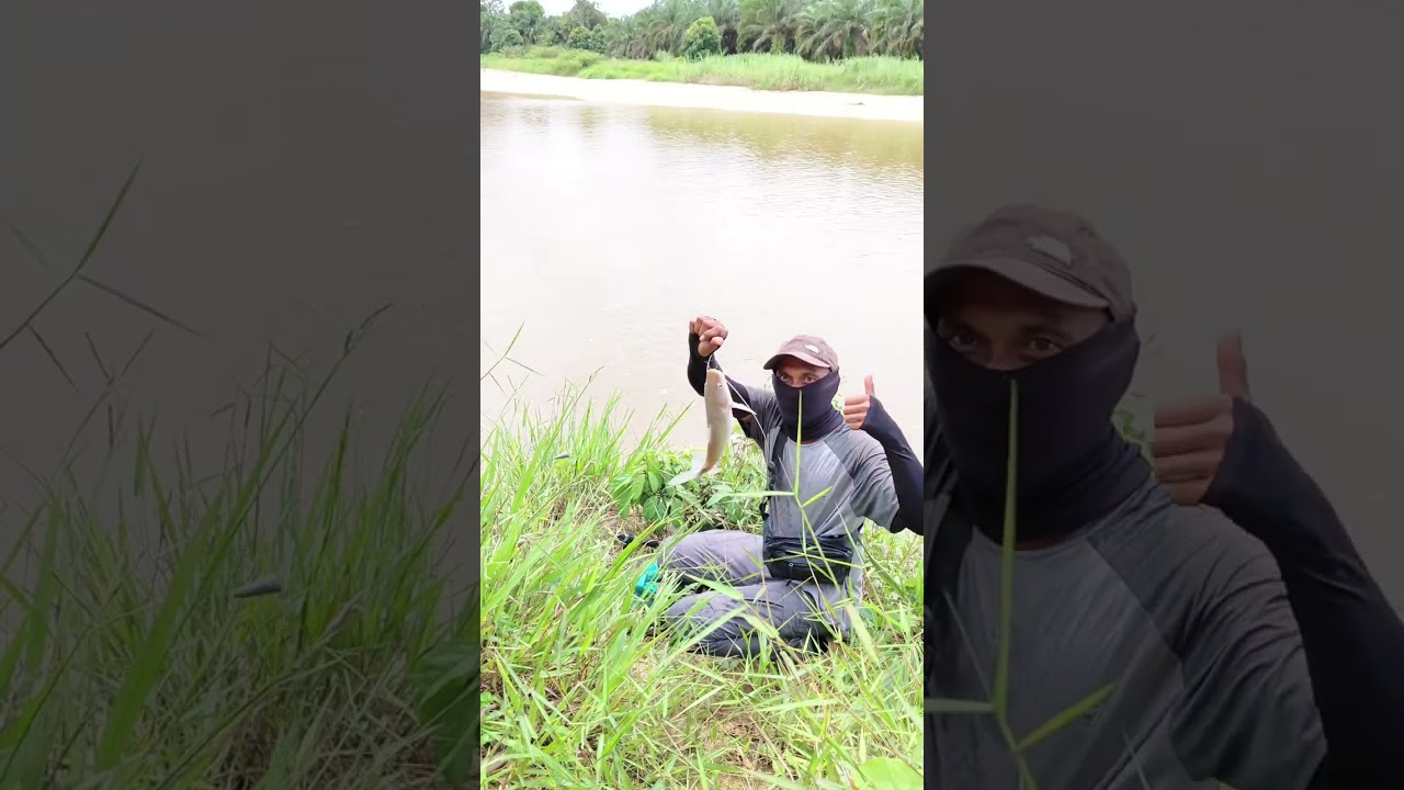 Air sungai surut langsung gas mancing