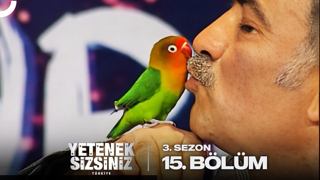 Yetenek Sizsiniz Türkiye 3. Sezon 15. Bölüm