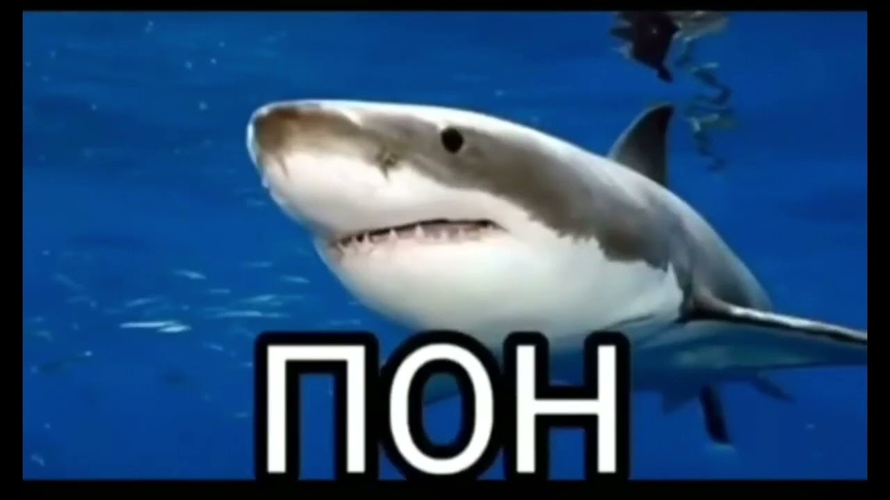 Пон 1 час