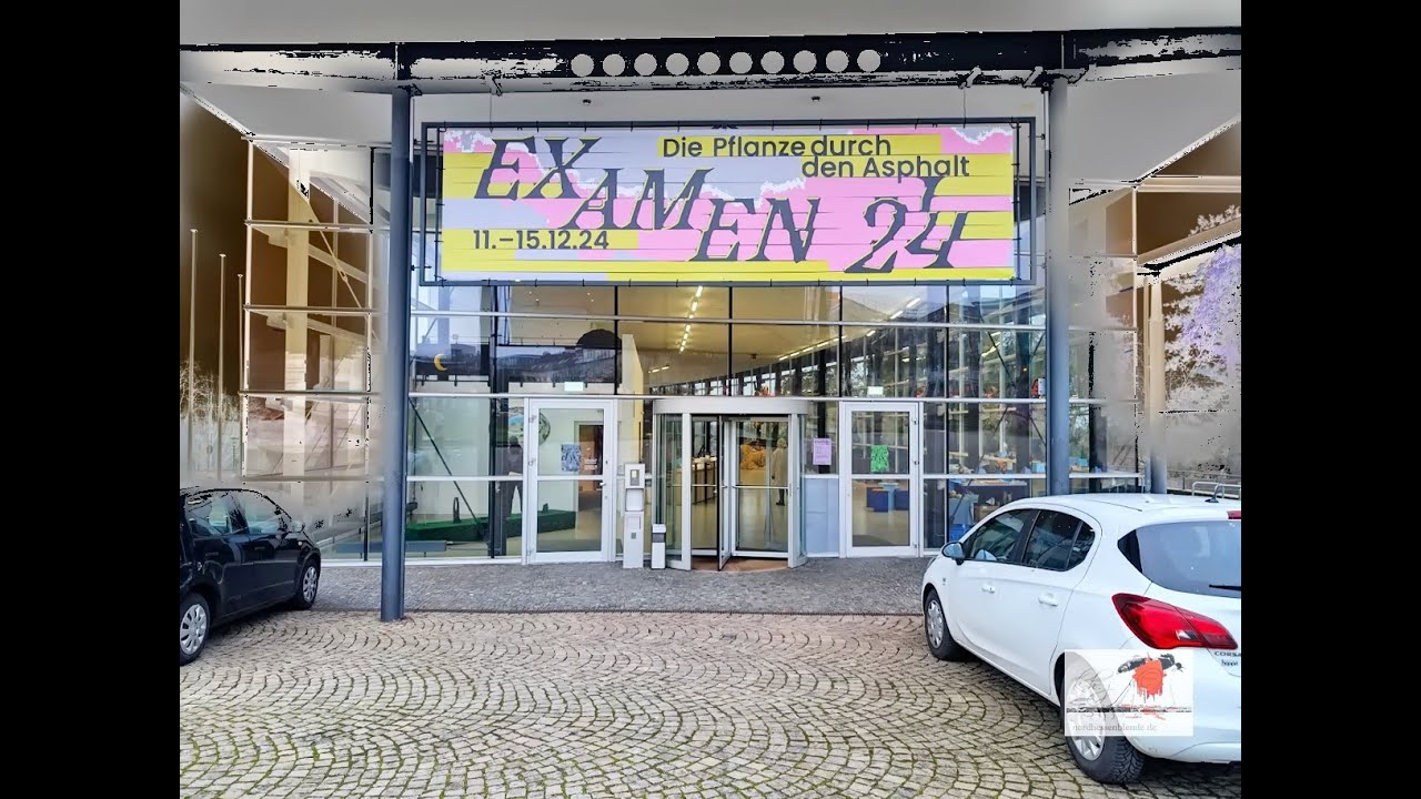 Kunsthochschule Kassel EXAMEN 24 – Die Pflanze durch den Asphalt