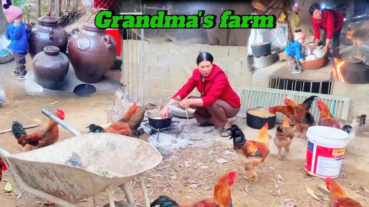 Grandma and Grandkid Cooking Feed for Poultry & Pigs The Pure Beauty of Rural Life at Our Farm