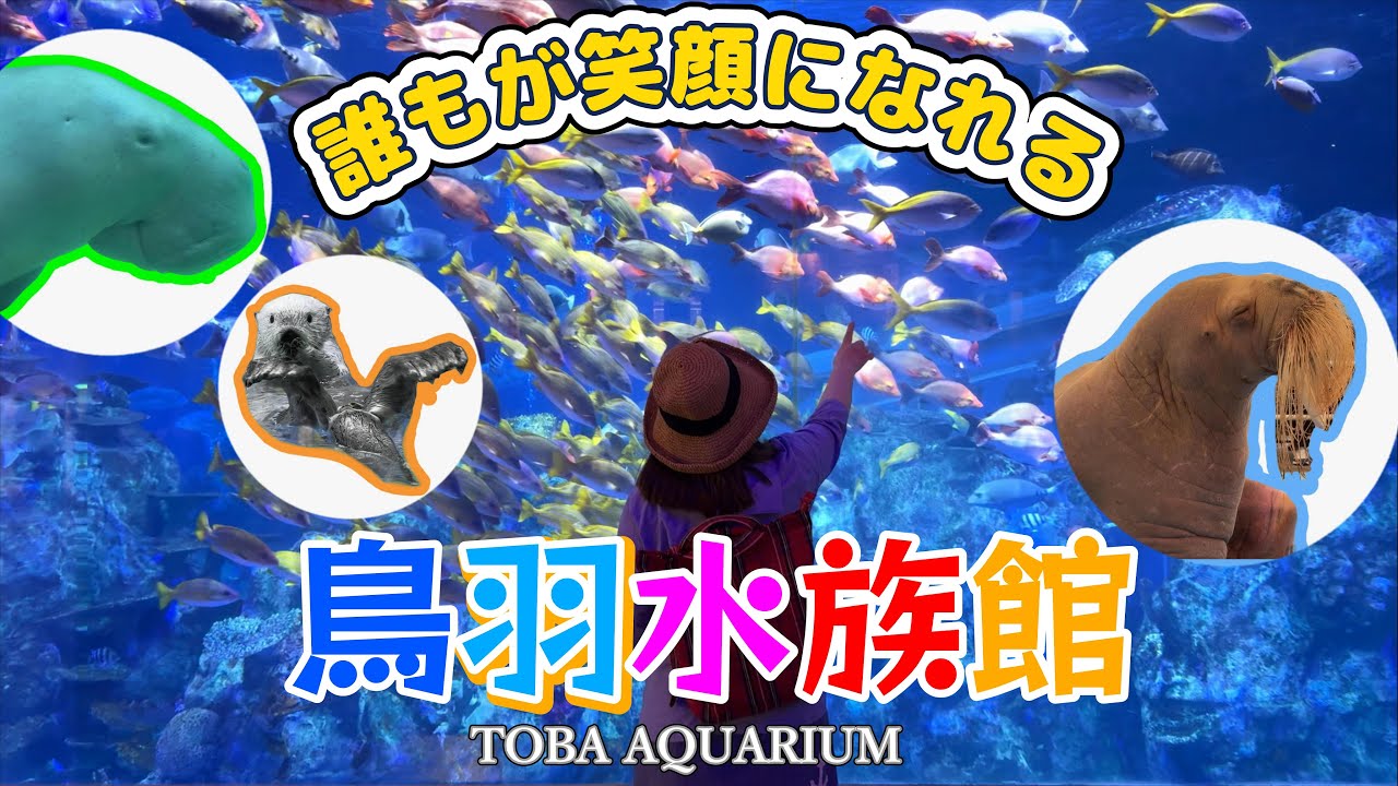 【鳥羽水族館】ジュゴンやラッコ、セイウチのショーなど海獣の楽園で有名な鳥羽水族館。生きものたちが元気をくれる感動の世界。誰もが笑顔になれる、そんな水族館です。