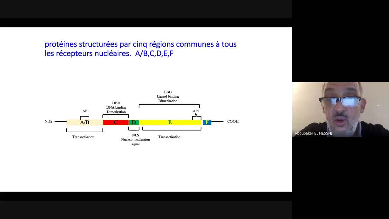 Chapitre: Récepteurs nucléaires - Module: Signalisation intracellulaire