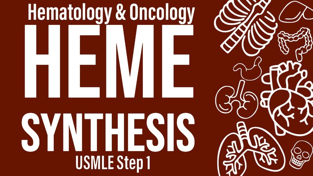 Heme Synthesis (Heme/Onc) - USMLE Step 1