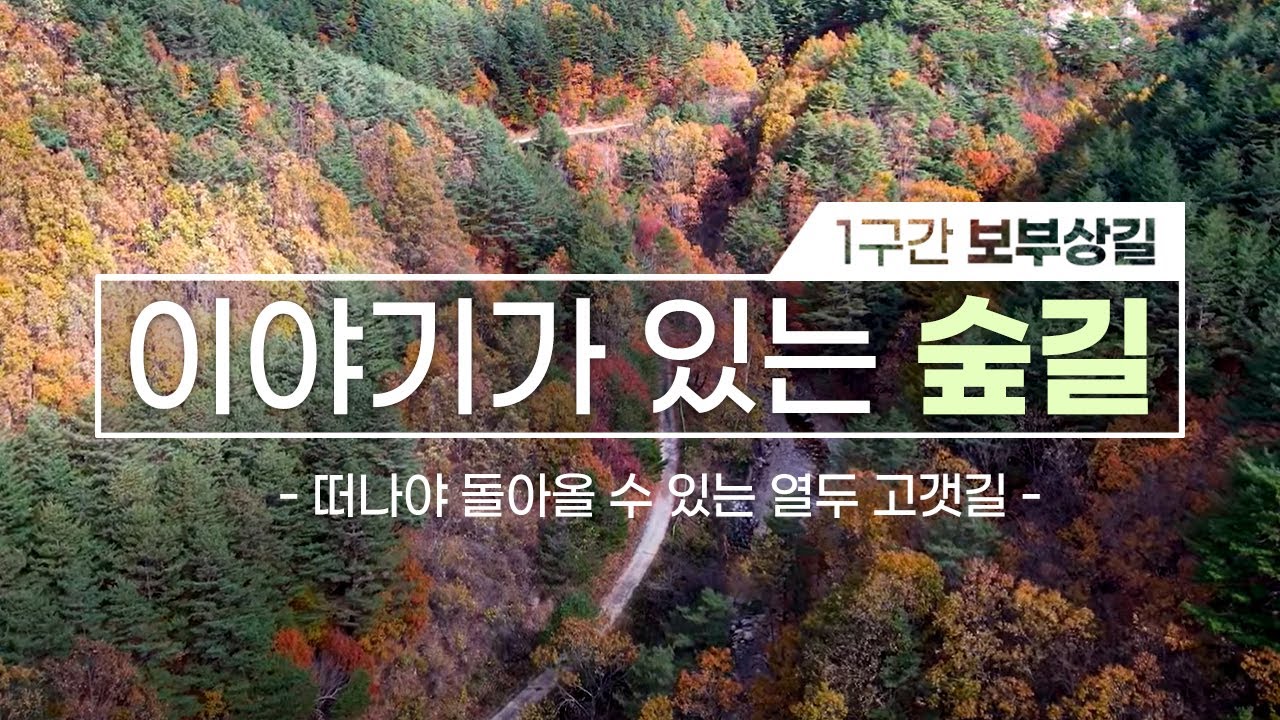 [#울진금강소나무숲길] 🌳 1구간 보부상길 (feat.양희은)