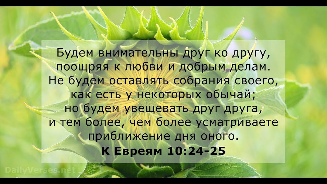 02/22/2026 Собрание