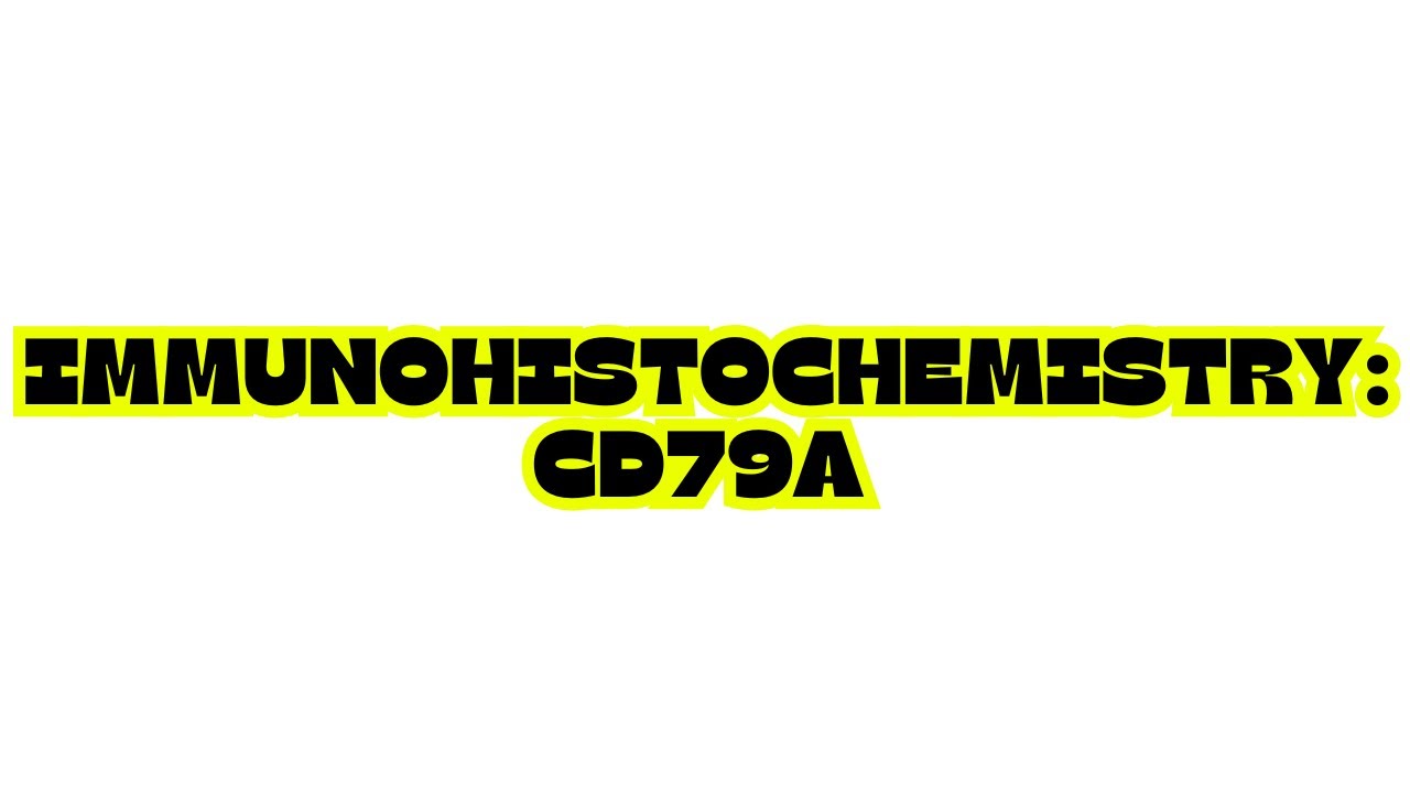 IMMUNOHISTOCHEMISTRY: CD79a