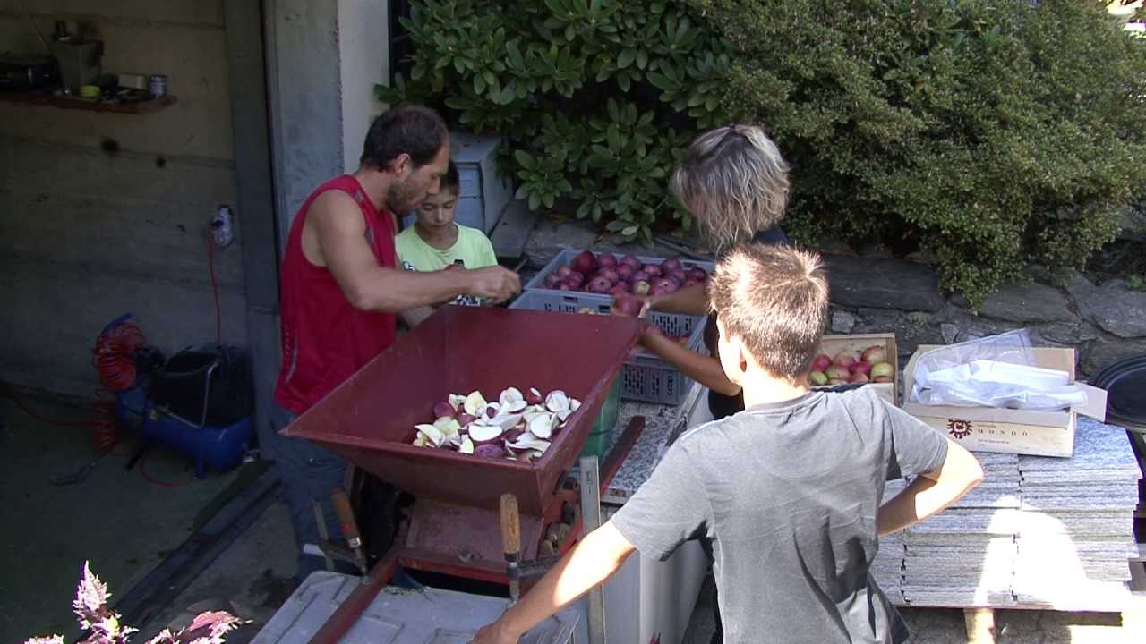 succo  mele