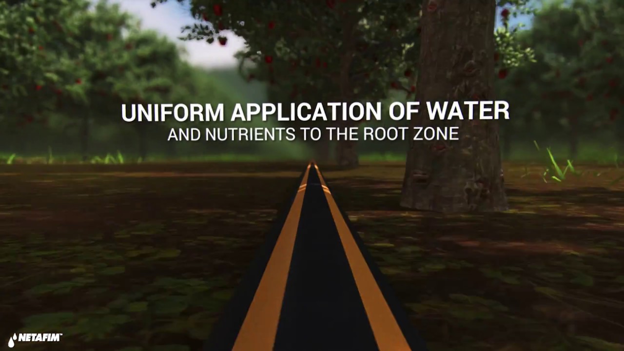 Why switch to Pressure Compensating (PC) drip irrigation? Netafim