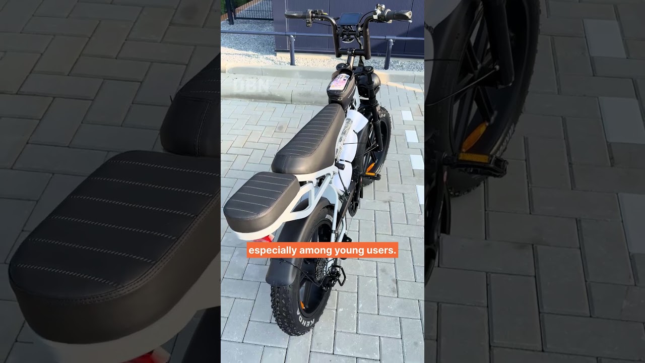 Dutch Cities Demand Fatbike Regulations Amid Safety Concerns