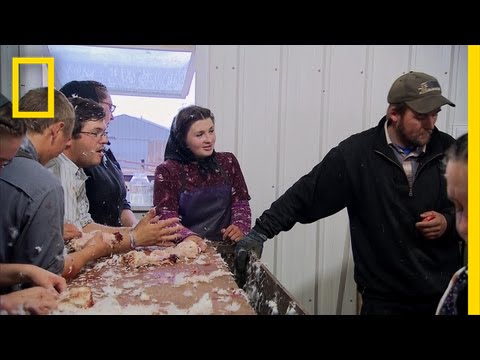 Claudia Asks for a Car | American Colony: Meet the Hutterites