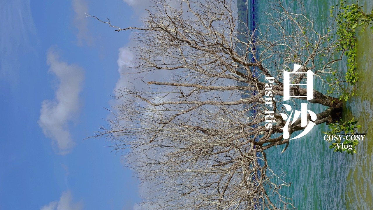 新加坡·白沙（Singapore, Pasir Ris）：光影斑駁之下的河海之網，即是夢的入口