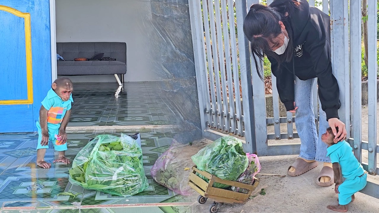 Marketing Master! SU Brilliant Idea Sells Out Mom's Greens!
