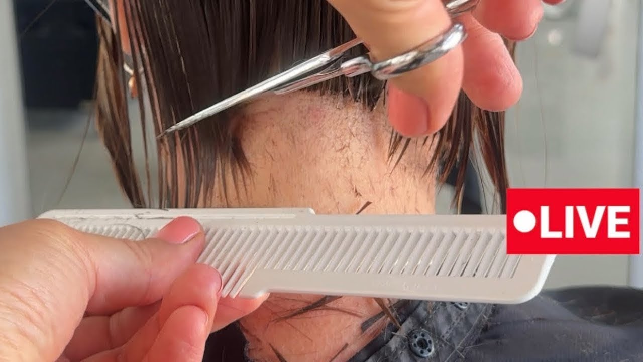 STUNNING Haircuts by Vivyan Hair Design! 💜✨🤩 #haircut #hairstyle #shorthair #longhair #hairtutorial