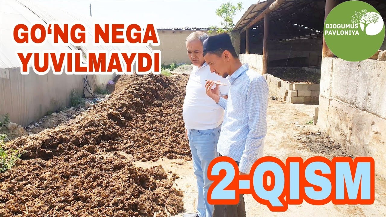 CHuvalchangni Yangi ozuqasini (go'ngni) yuvmanglar | BIOGUMUS