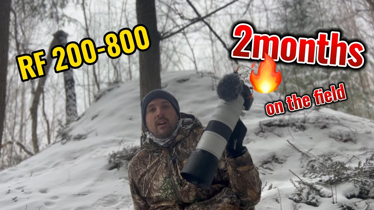 RF 200-800 with Canon R8, 2 months of use on the field..