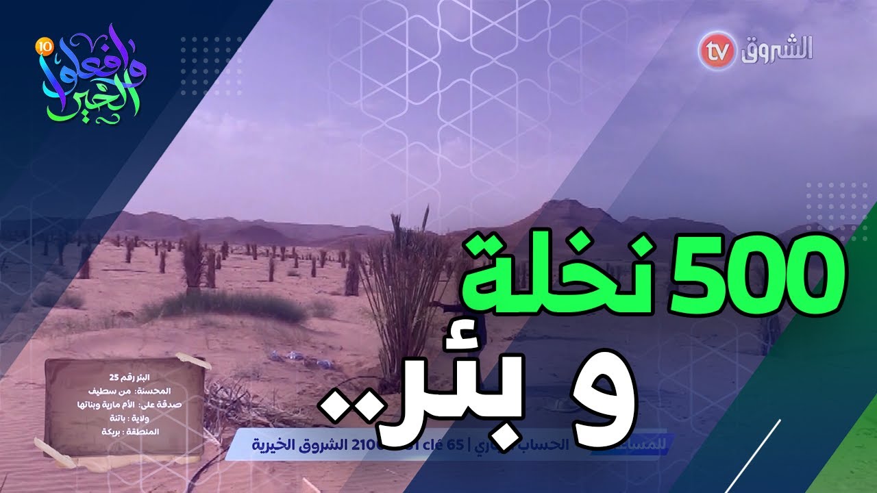 بعد مشروع 1000 نخلة 🌴🌴تعود أرباحها ليتامى مدينة بريكة💵❣️اليوم دعم المشروع ببئر تسقي كامل المزرعة ❤️