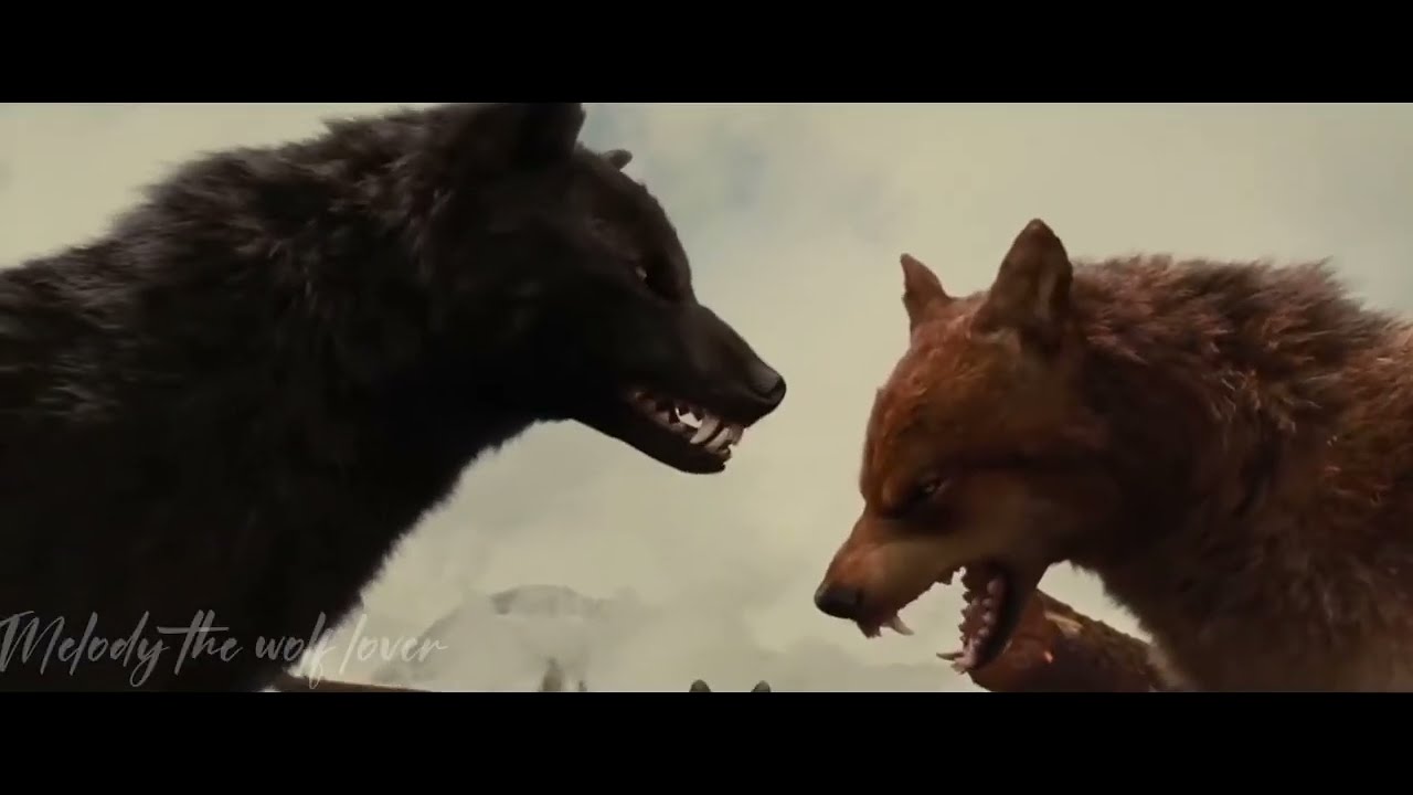Twilight wolves-alone for -Night theLegendaryWolf