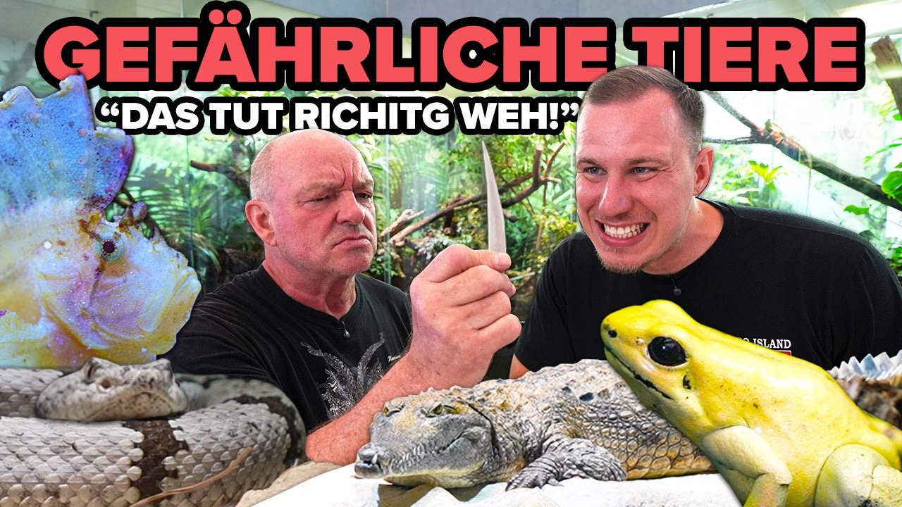 ACHTUNG GIFTIG! - Diese GEFÄHRLICHEN Tiere hat Hannes!