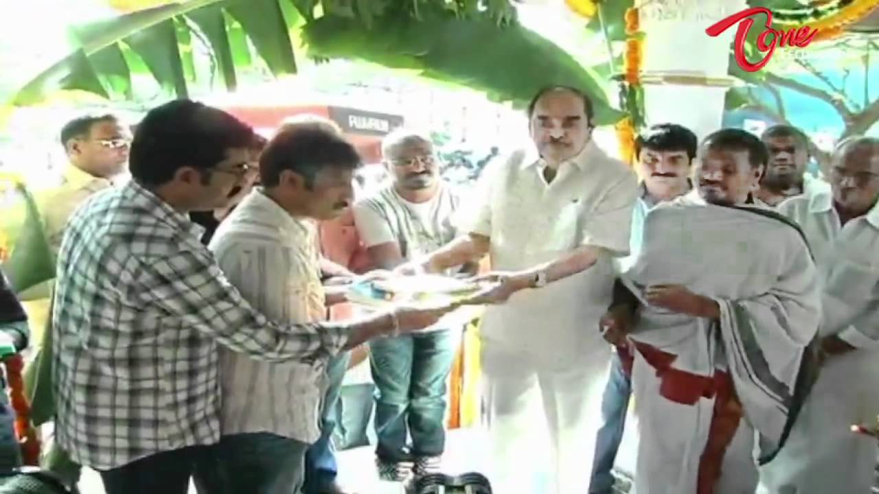 Jr.Ntr's Baadshah in Srinu Vytla's direction has been launched