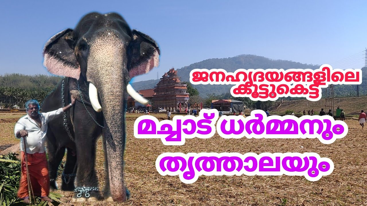 അഴകുള്ള ആനയും തികവുള്ള പാപ്പാനും 😍Machad Dharman/thrithala ramachandran nair