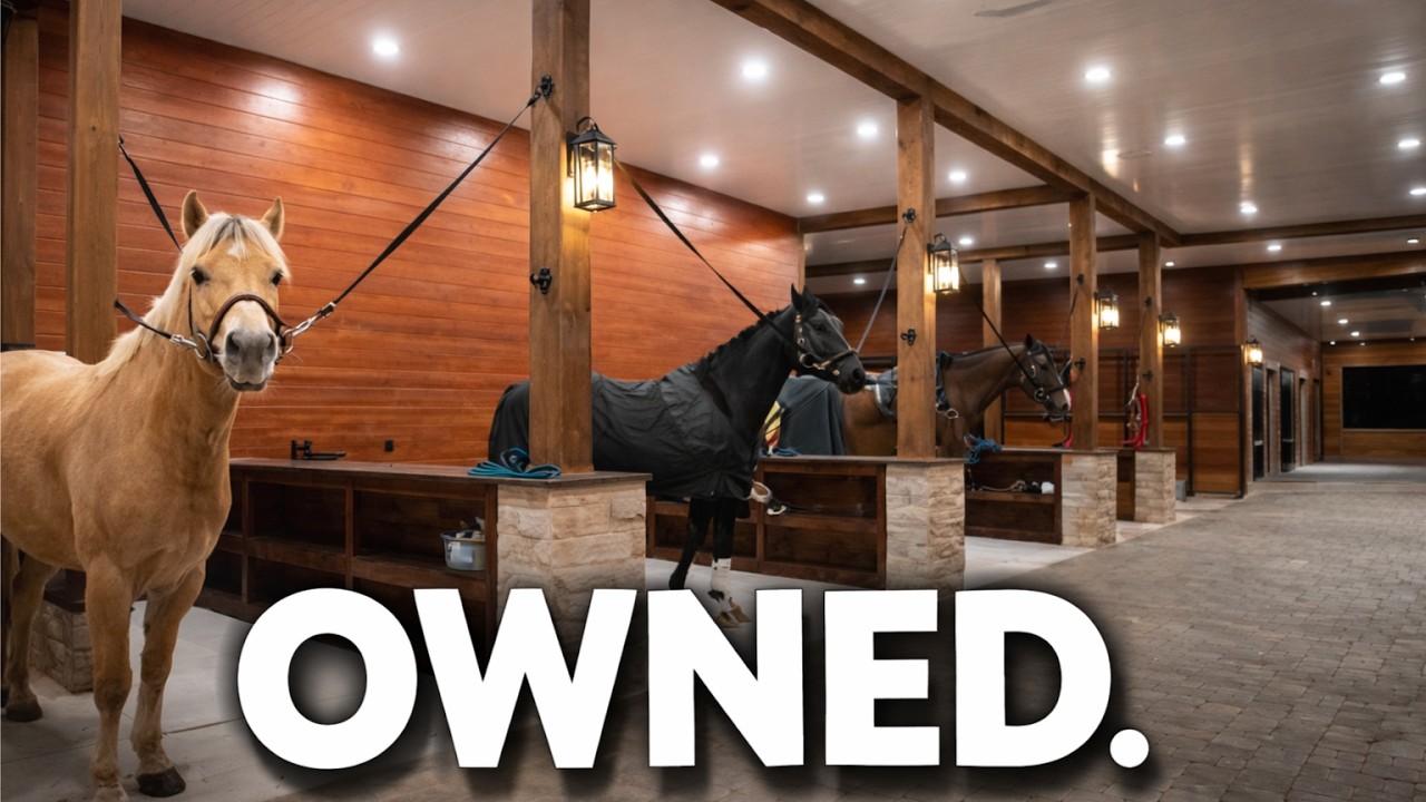 The Ethics of Horse Ownership: Do We Really Have the Right?