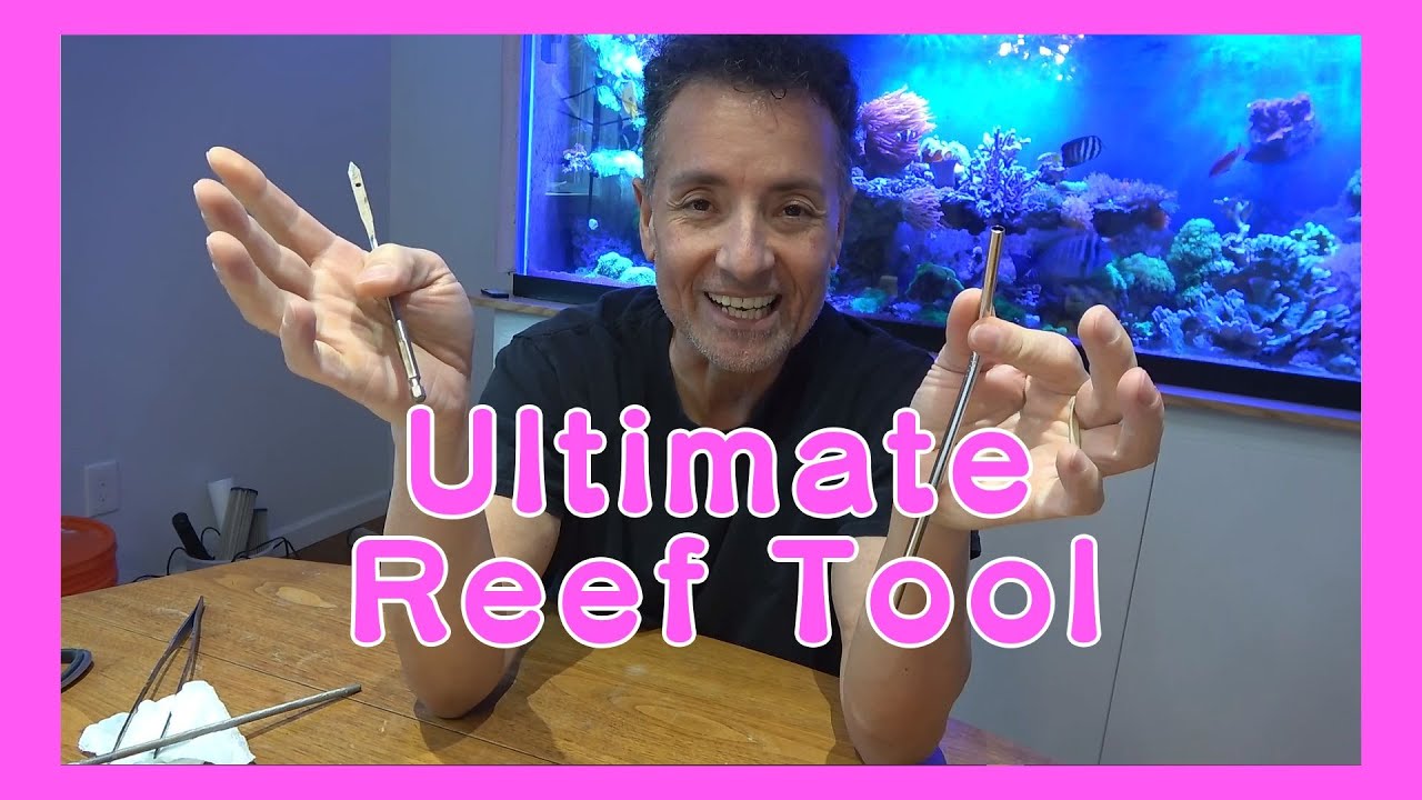 Simple Xenia Removal Tool   Spicy Reef E94