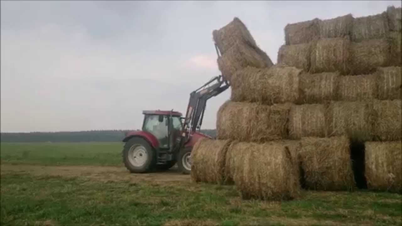 ZWOŻENIE SŁOMY 2014 cz.2 ㋡ Case Maxxum 140 ㋡ Case 5150 ㋡HD