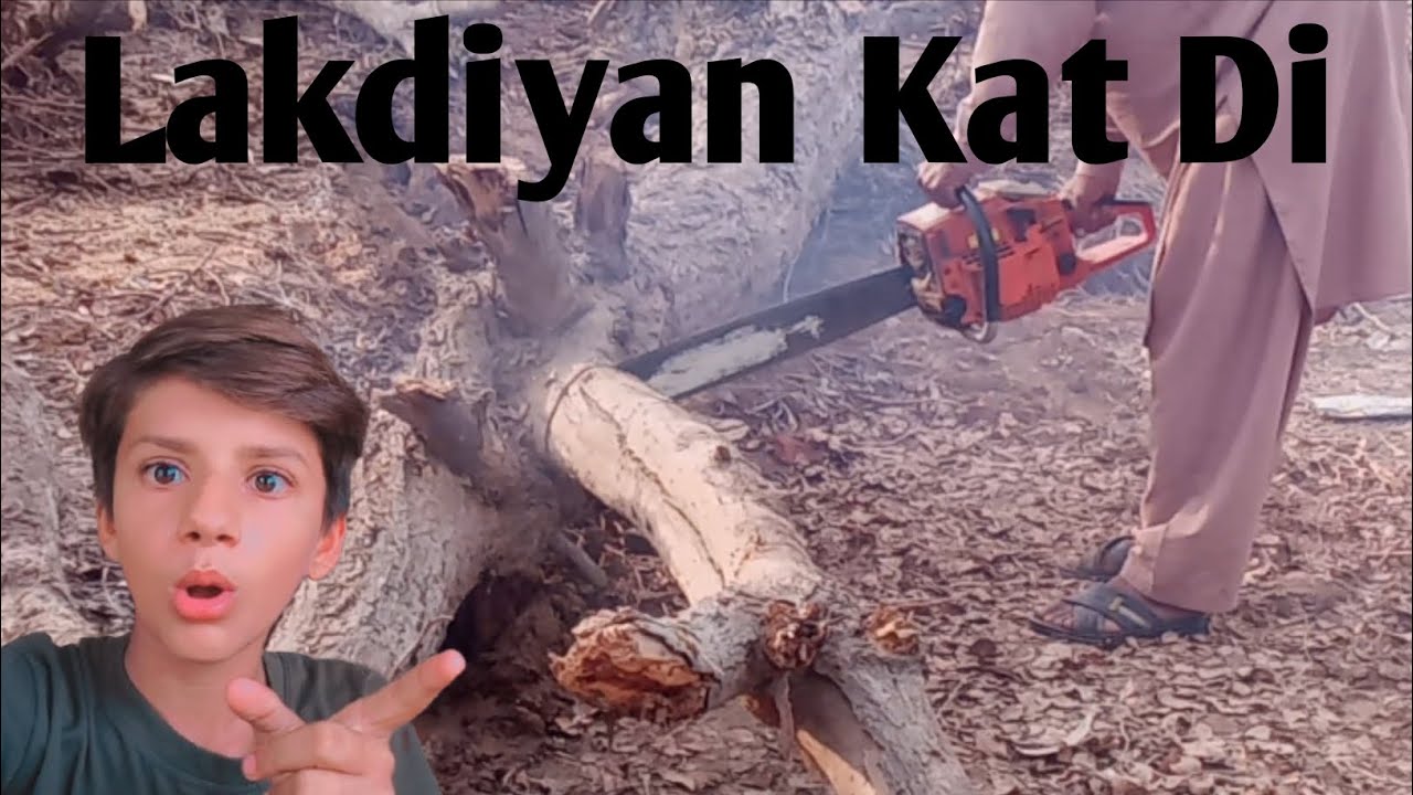 Lakdiyan Kat Di 🪵🪵🌳