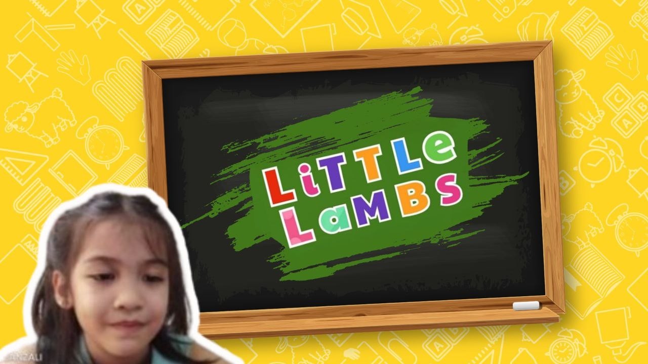 Little Lambs | February 14, 2026