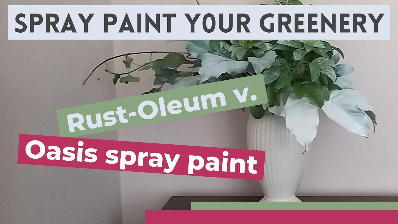 Rustoleum Vs. Oasis floral spray paint | spray painted greenery | what paint should you use?