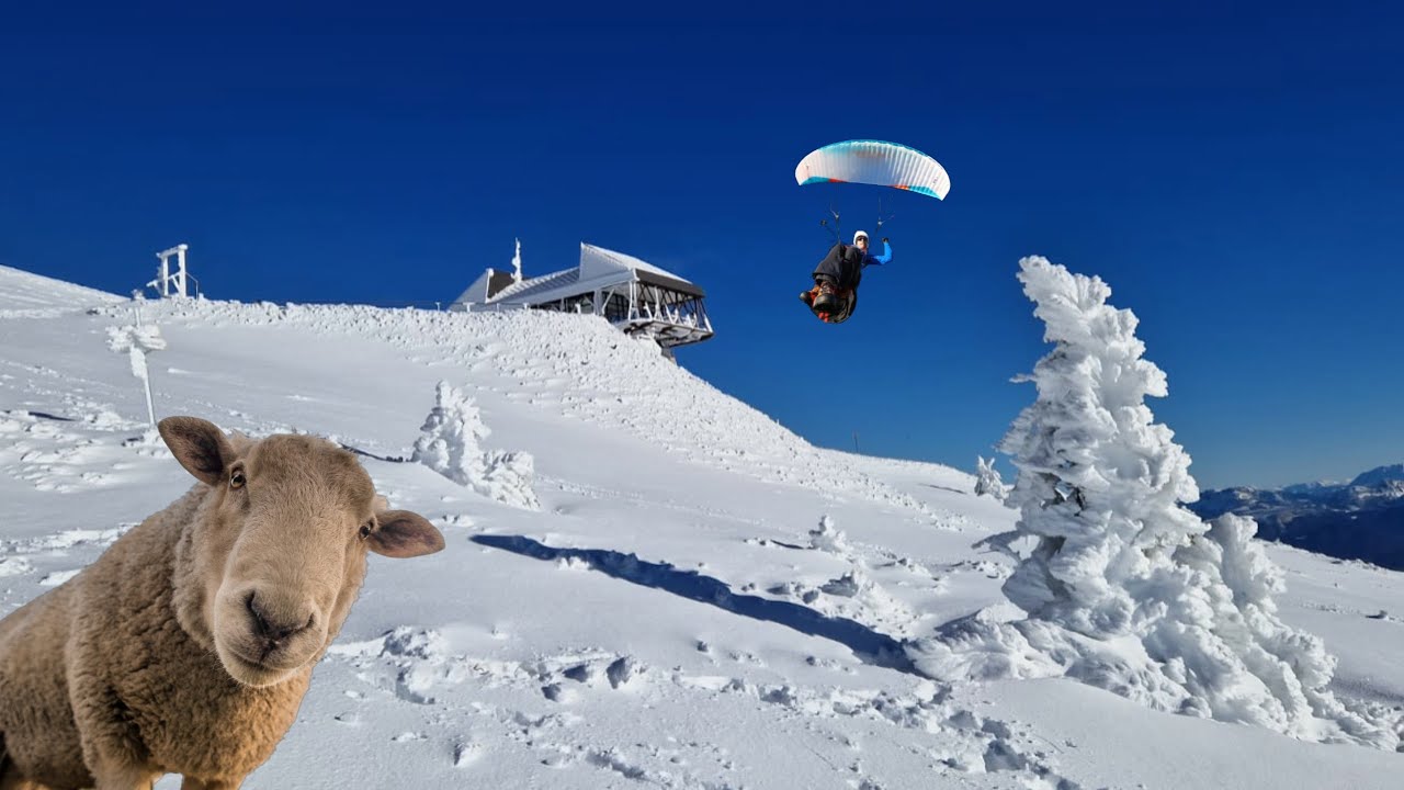 Schafberg Hike and Fly