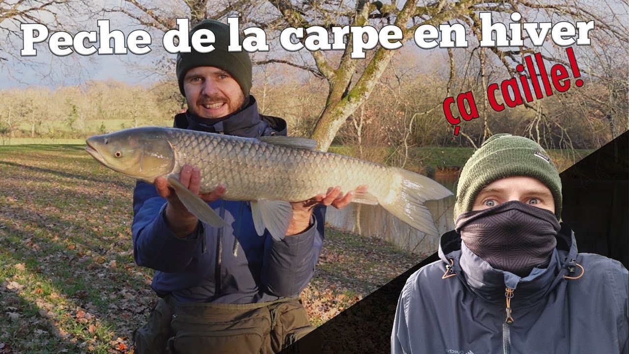 Pêche de la carpe en Stalking en hiver (technique et astuces)