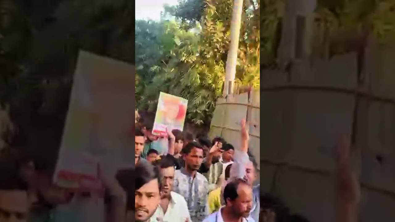 BNP Rally on the Streets | People Chanting &ldquo;Vote for Sheaf of Paddy&rdquo; | #shorts #politics