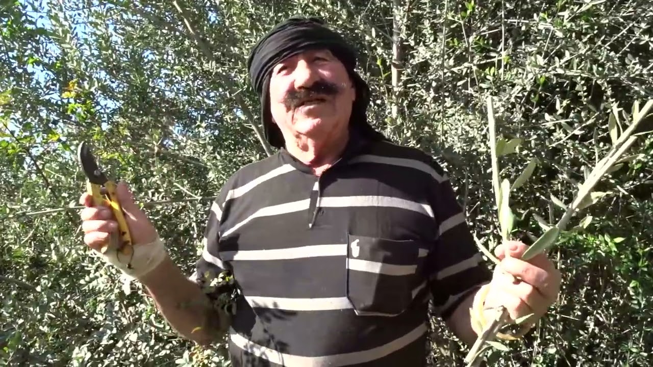 Mini-reportage: Dda KACI, un agriculteur-artiste