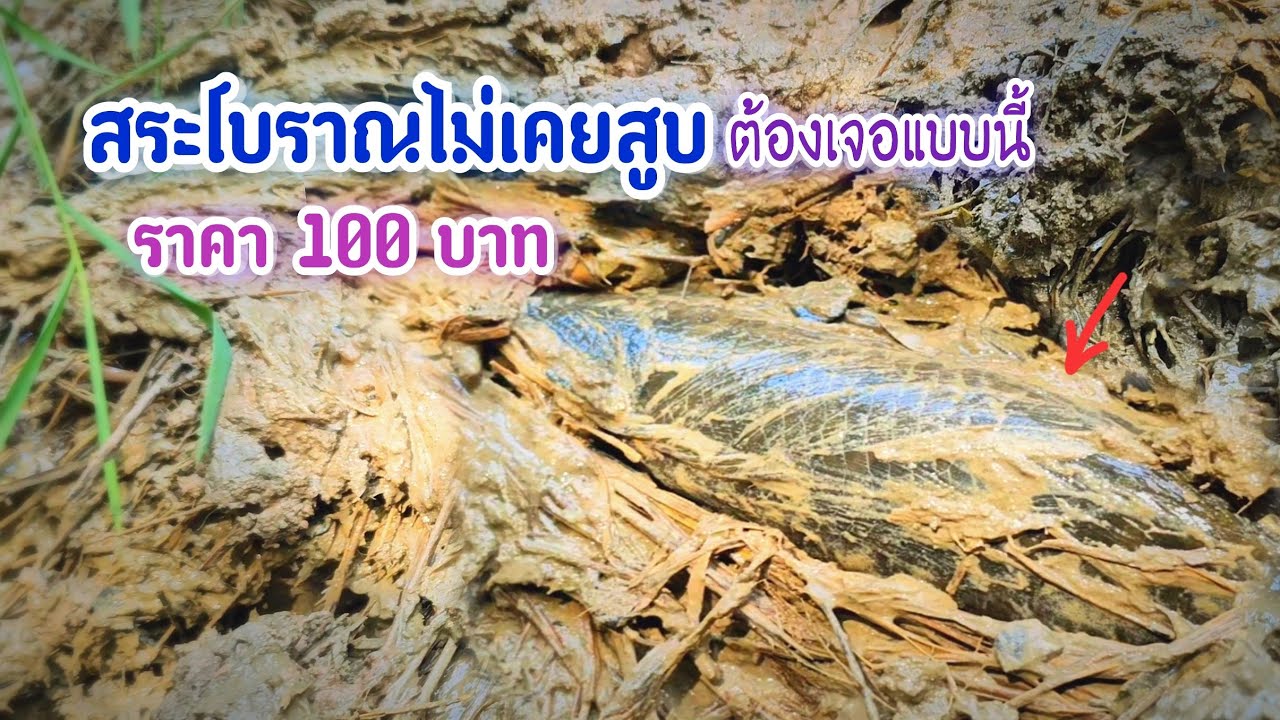 สูบสระโบราณยังไม่มีใครแตะเลยสักปีราคา 200฿ คิดไว้แล้วว่าต้องเจอตัวแบบนี้
