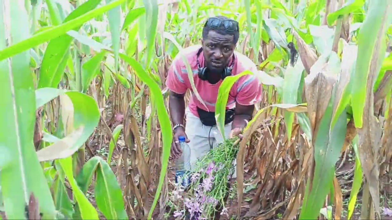 Ansumana Explore Ansumana Smart Farm 🚜 