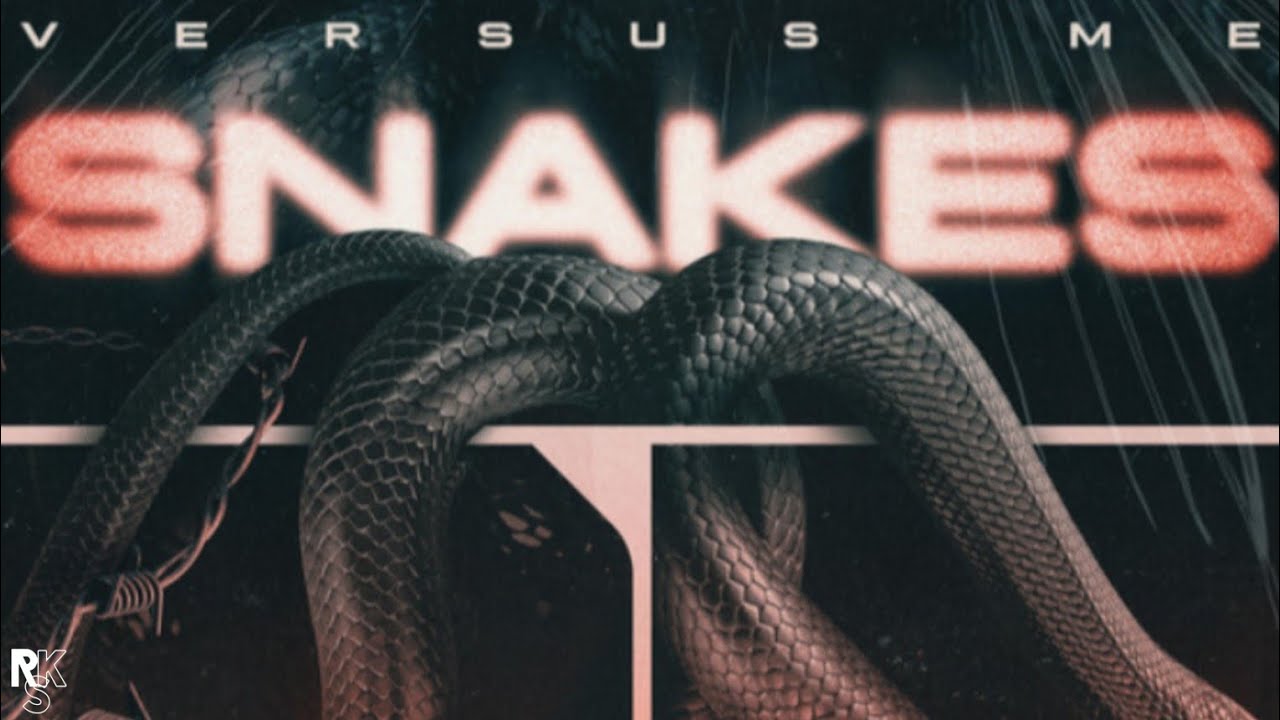 Versus Me - Snakes (Lyric Video)