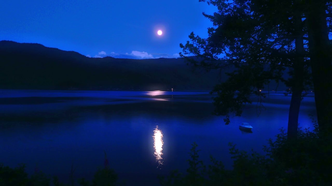 Deep Sleep Night - Relaxing Ambient Music
