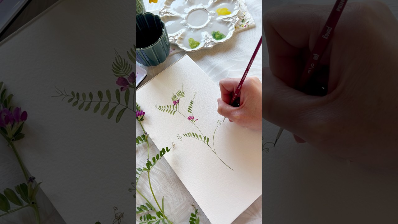Fleur des champs à l’aquarelle : la vesce des haies 🌸 