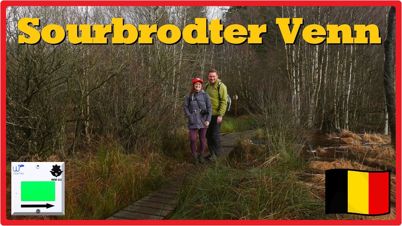 Sourbrodter Venn | Wandern im Hohen Venn 🇧🇪 [2,7K]