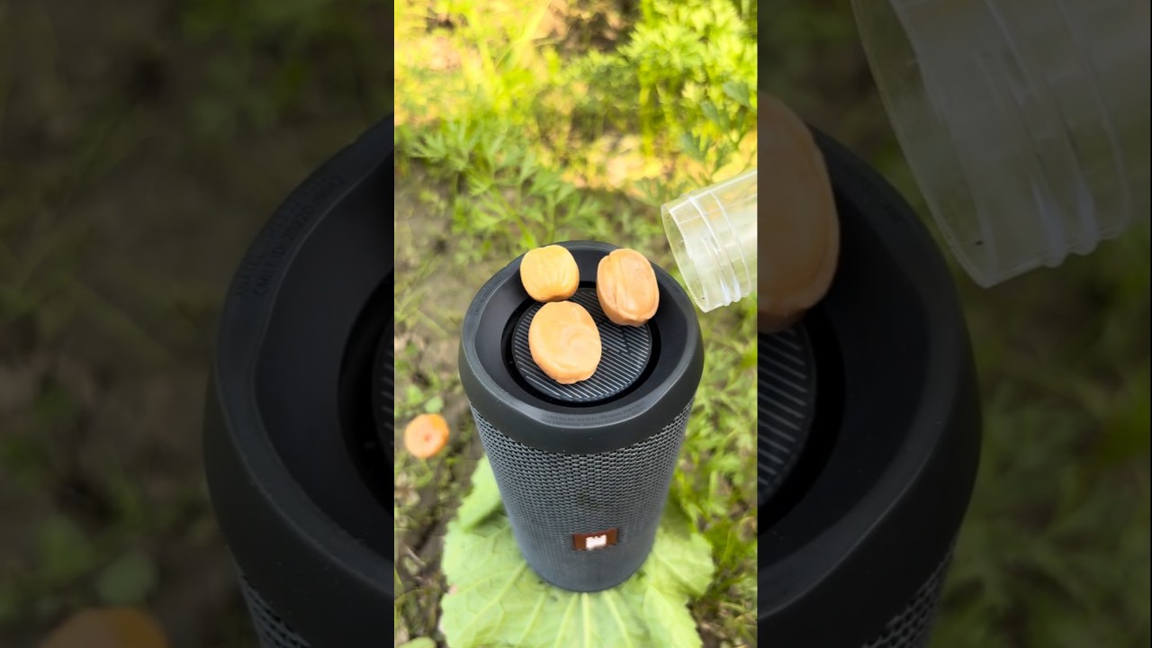 jbl super bass n brown chocolate jump with flip 2 and bass test