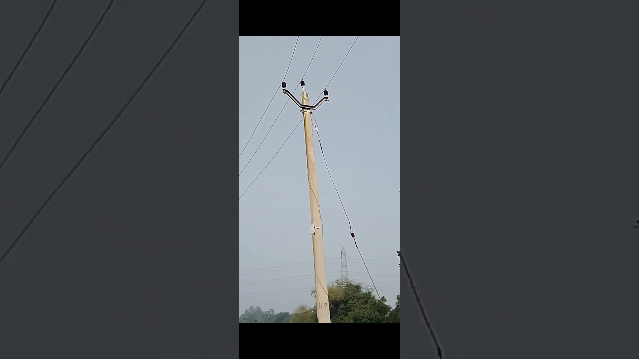 बिहार मे बिजली ३, सरकारी मनोरंजन 