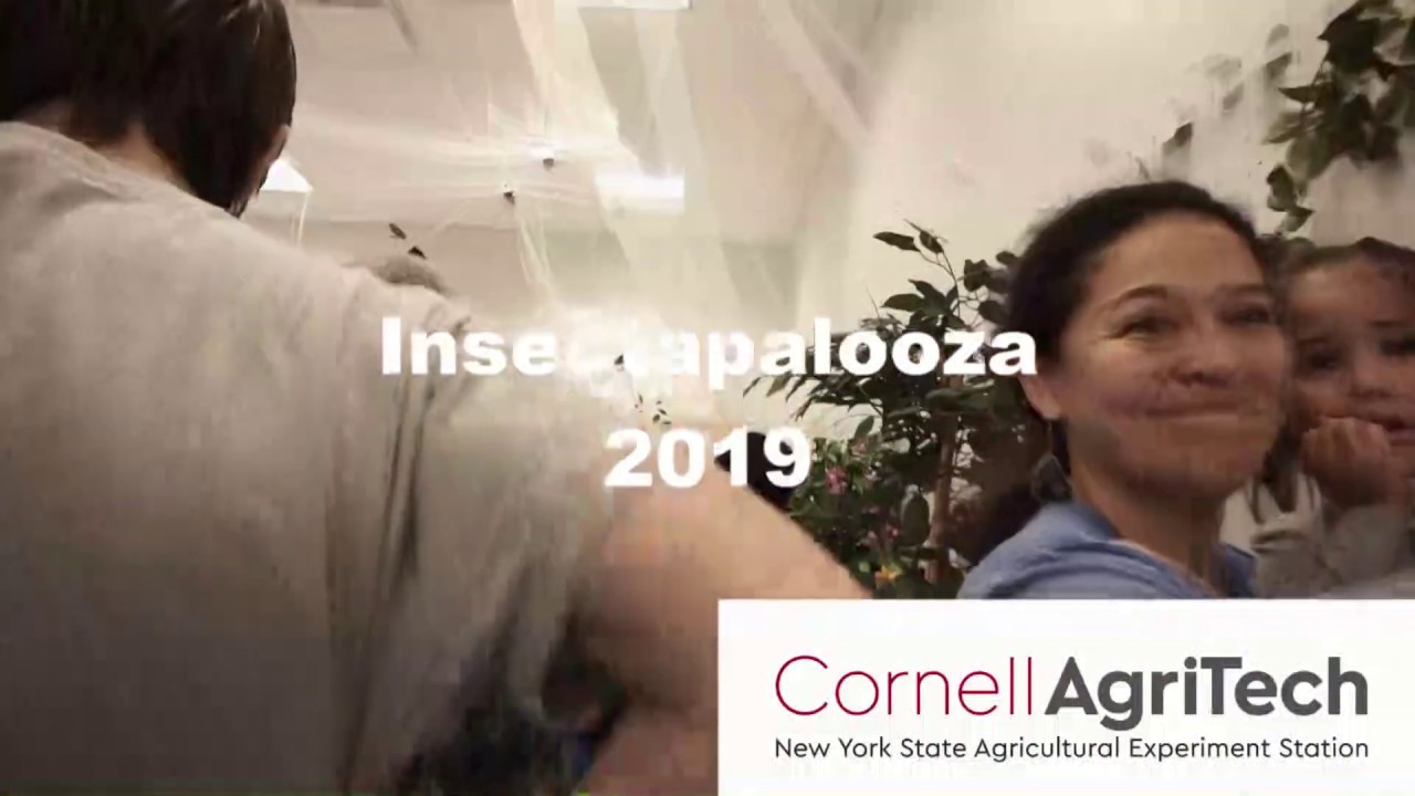 Insectapalooza - A Cornell Outreach Event
