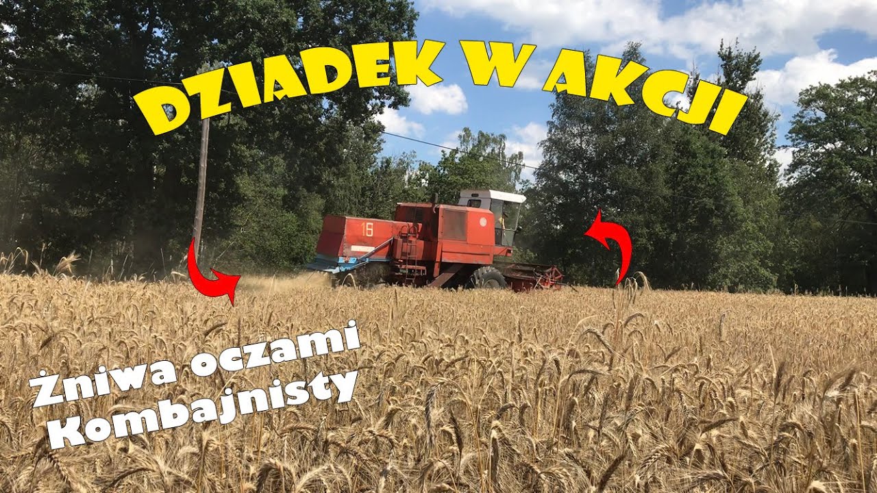 Koszenie Oczami Kombajnisty | Dziadek w akcji | Bizon Z056 | POV Combine Harvesting | Dźwięk silnika
