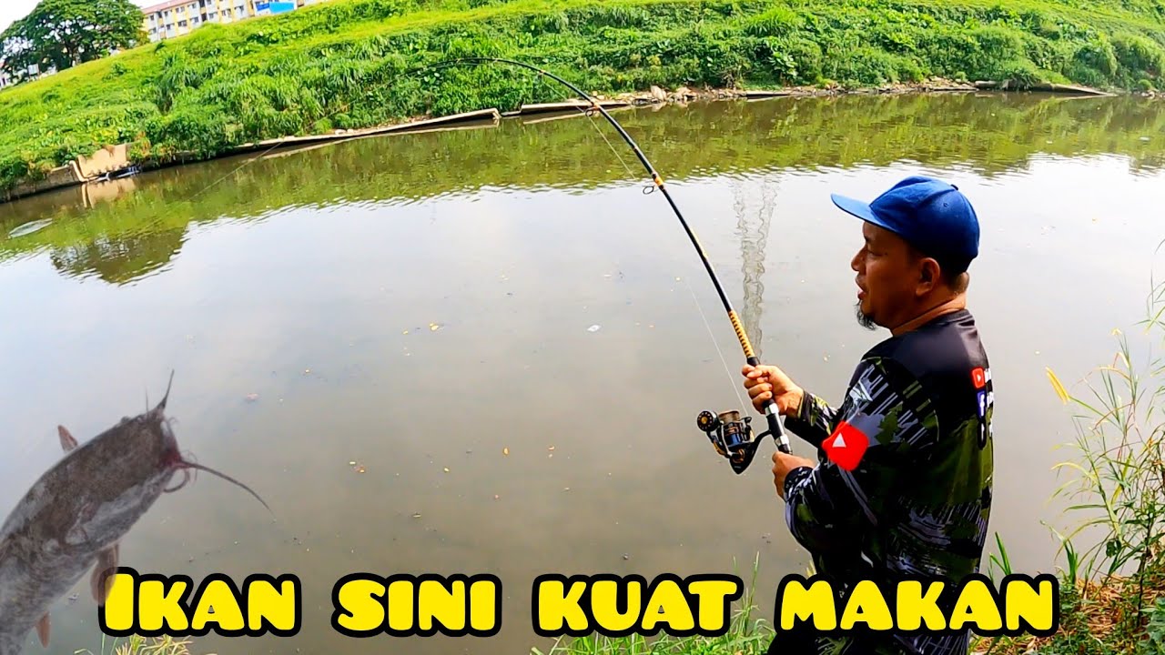 Mancing Keli Afrika Sungai Klang#gengdunia 