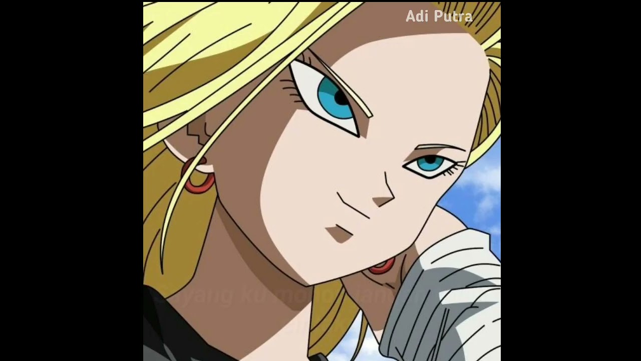 Android 18 is the best waifu.