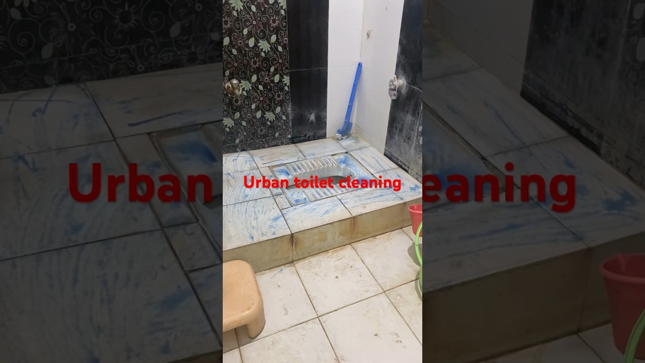 Urban toilet cleaning # worth the money?