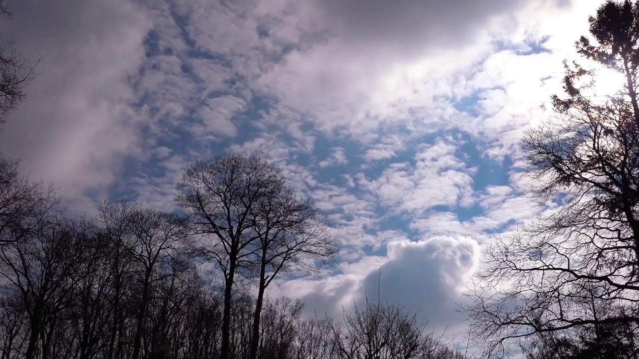 Brugge vibes: Enjoy the sunrise from our terrace in Bruges, Belgium - Nature sound