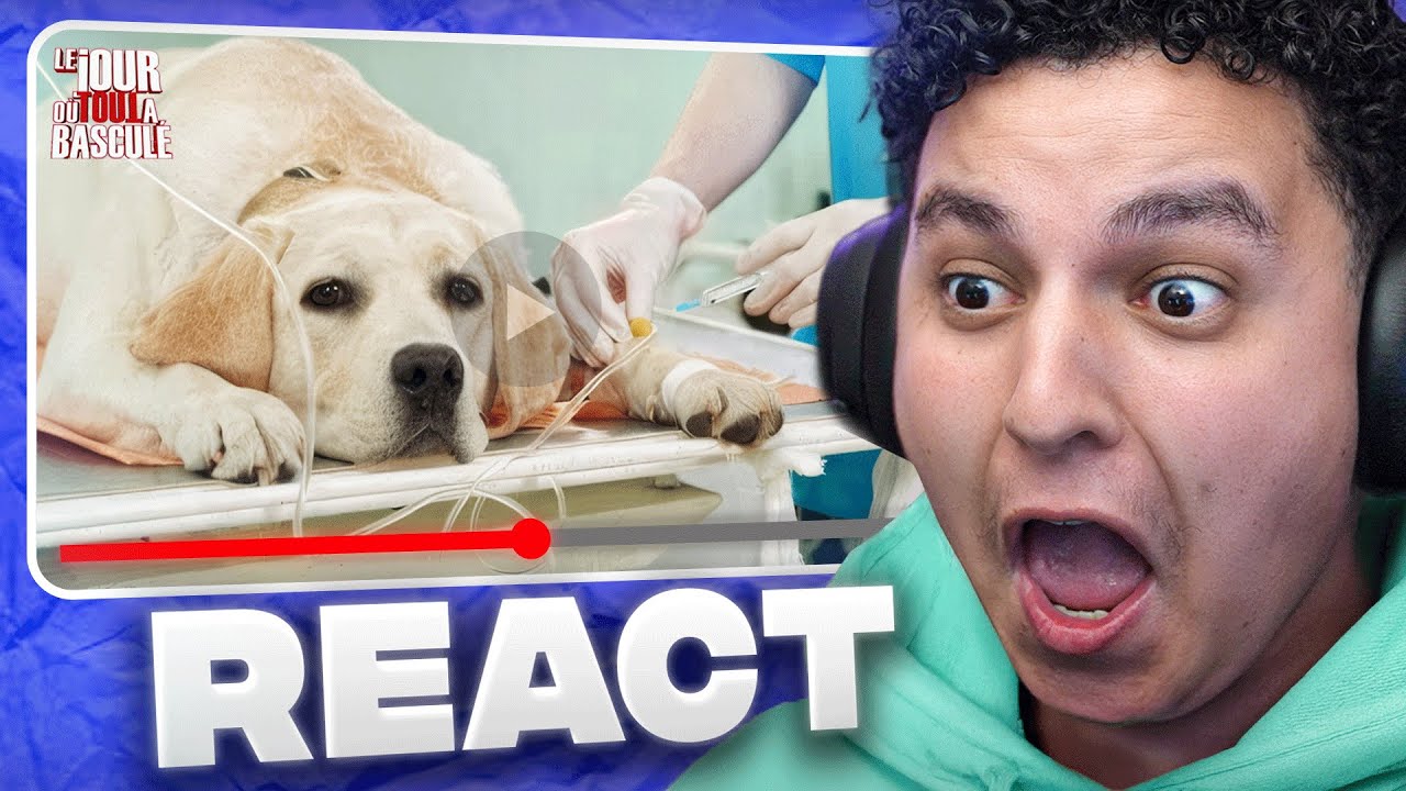 IL TUE SON CHIEN POUR POUVOIR DIVORCER !!! 😱 (réaction jour ou tout a basculé)